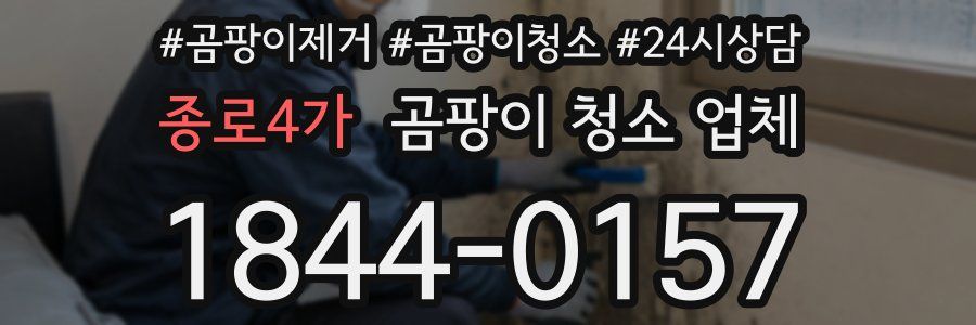 종로4가 곰팡이 청소 업체