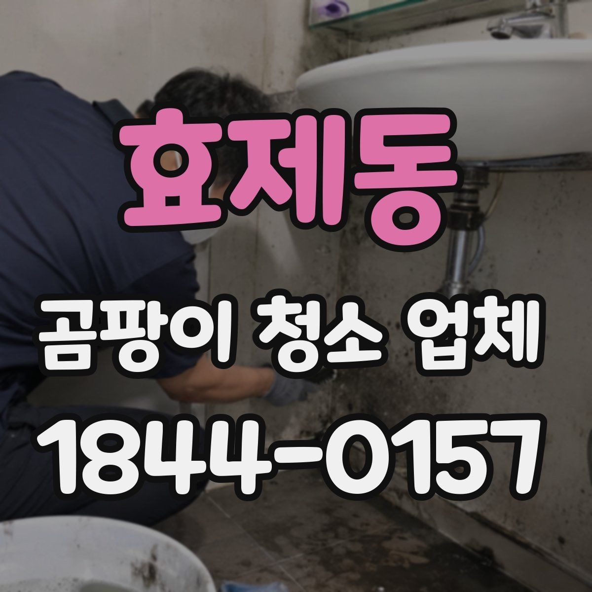 효제동 곰팡이 청소 업체 현장 사진으로 작업 범위를 이해하는 팁