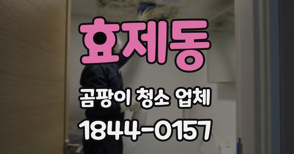 효제동 곰팡이 청소 업체