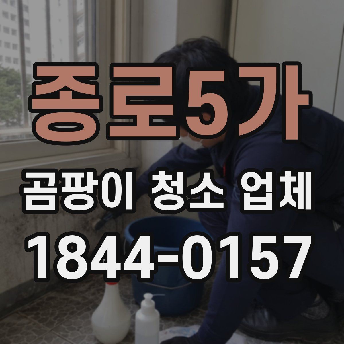 종로5가 곰팡이 청소 업체 전후 비교 사진이 필요한 이유