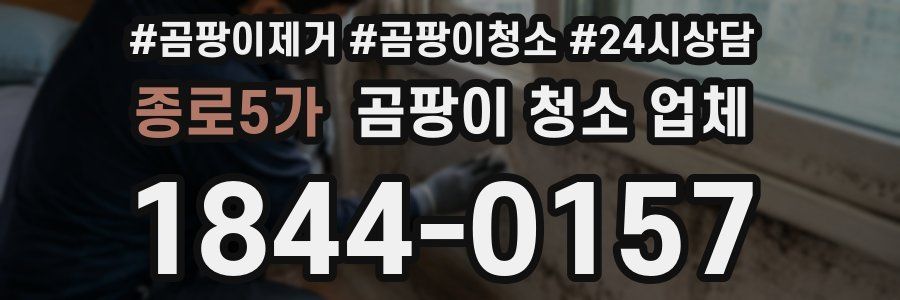 종로5가 곰팡이 청소 업체