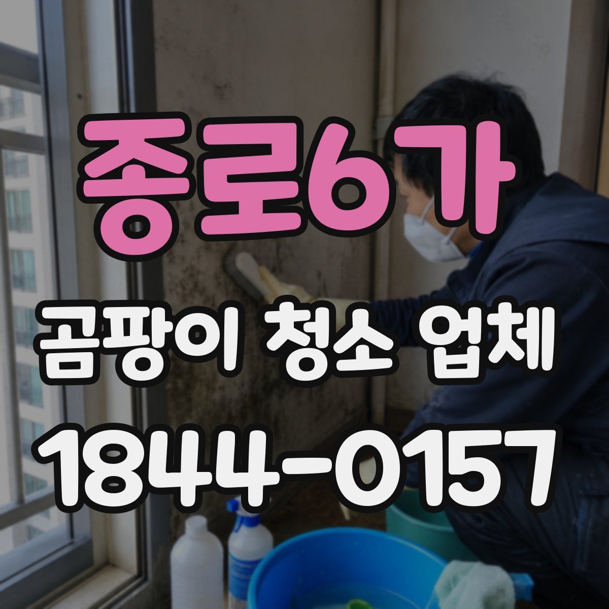 종로6가 곰팡이 청소 업체