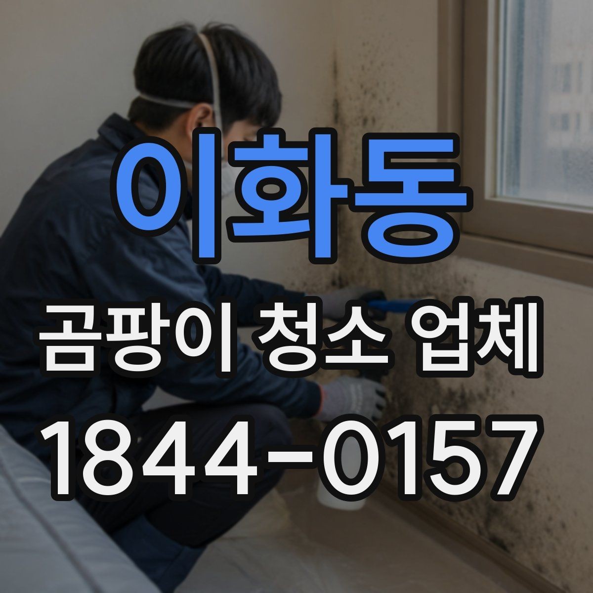 이화동 곰팡이 청소 업체 장비만으로 가능한 범위와 한계