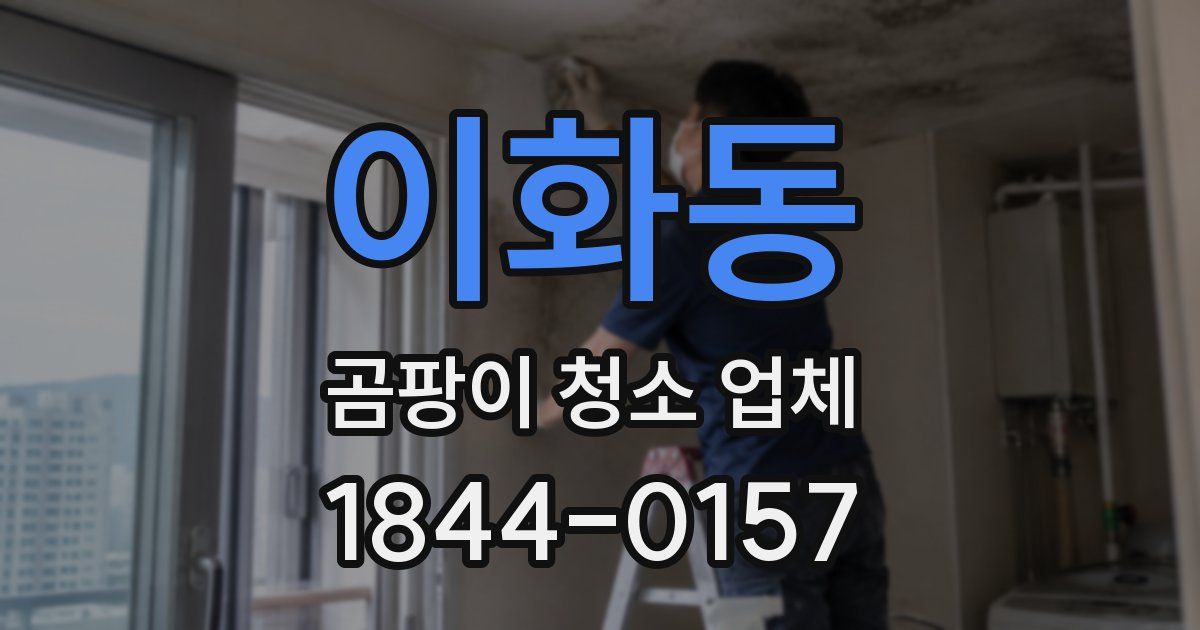 이화동 곰팡이 청소 업체