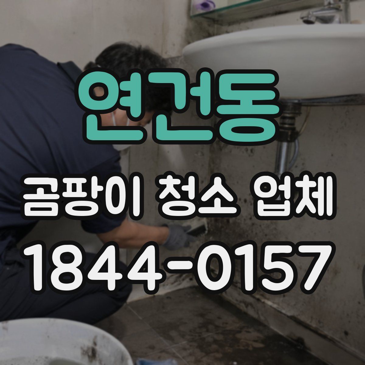 연건동 곰팡이 청소 업체