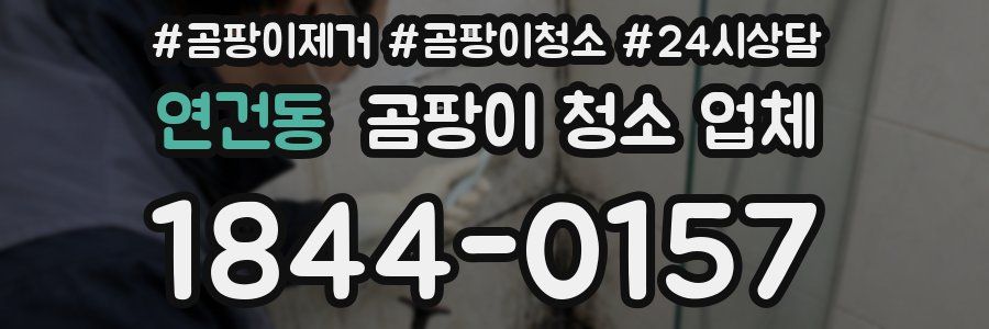 연건동 곰팡이 청소 업체