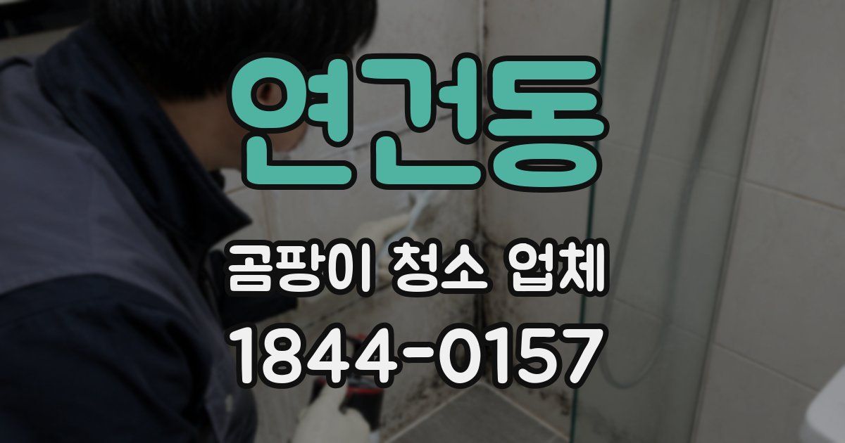 연건동 곰팡이 청소 업체
