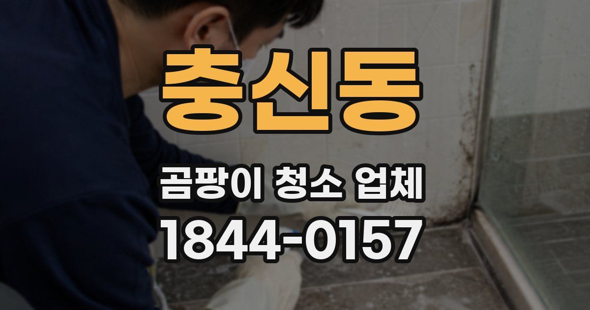 충신동 곰팡이 청소 업체