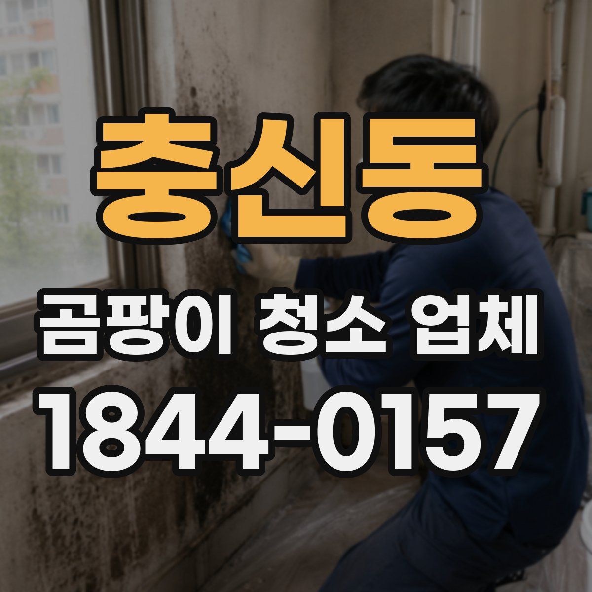 충신동 곰팡이 청소 업체