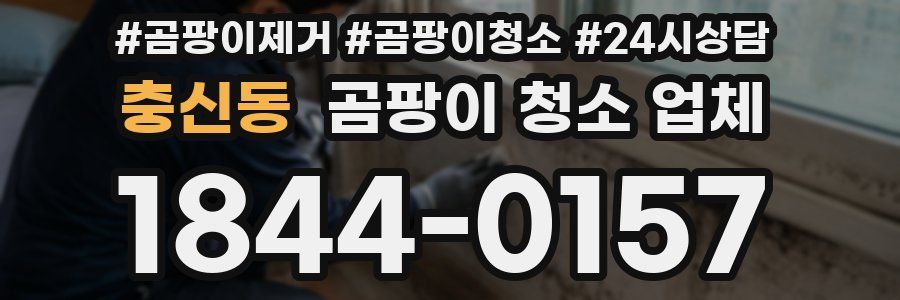 충신동 곰팡이 청소 업체