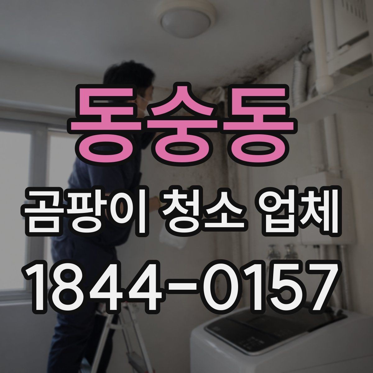 동숭동 곰팡이 청소 업체 전후 비교 사진으로 보는 관리 결과