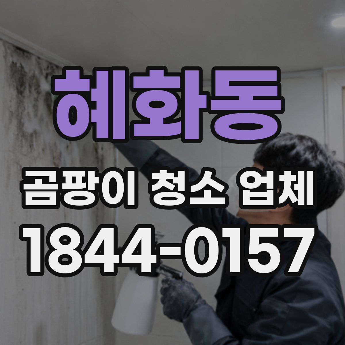 혜화동 곰팡이 청소 업체