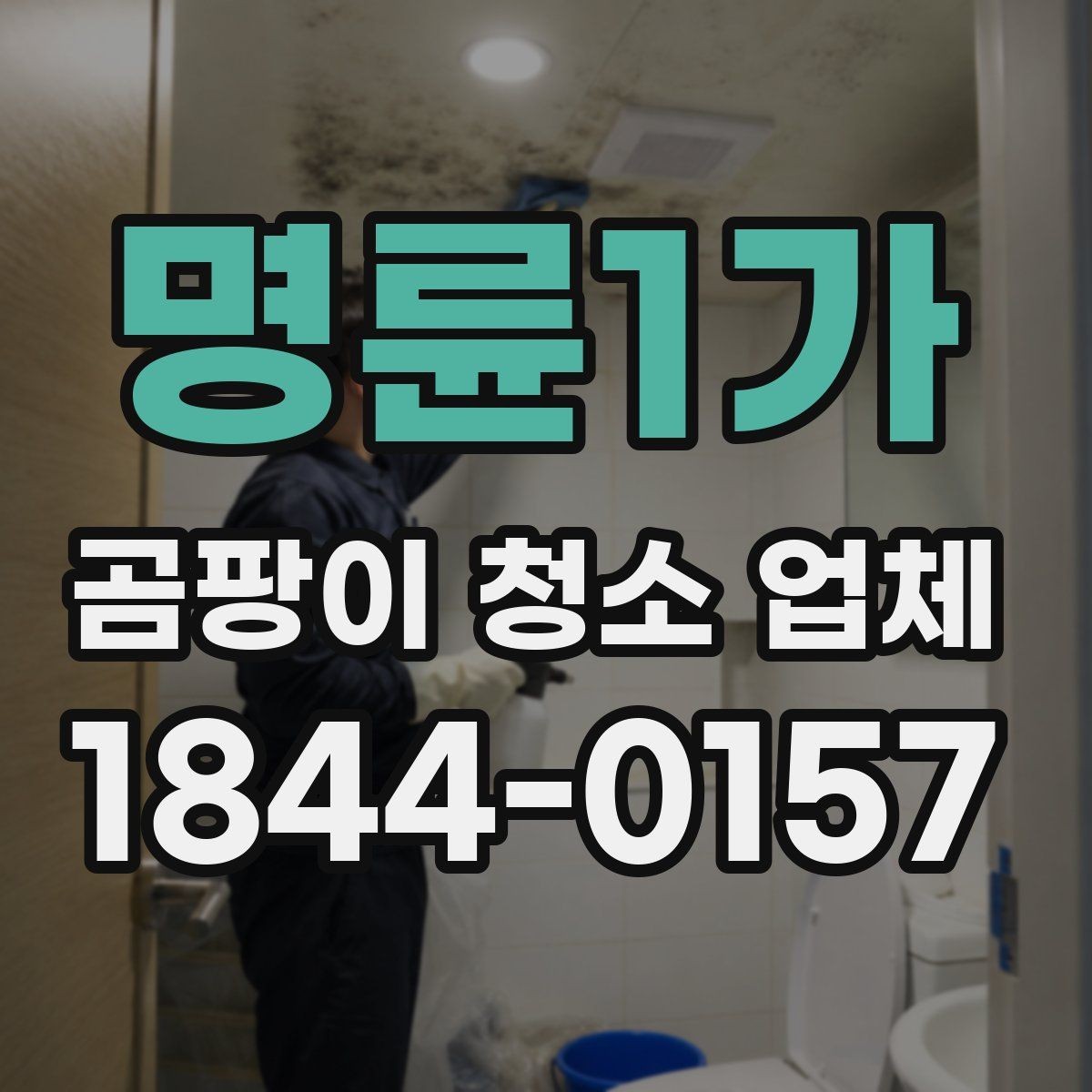 명륜1가 곰팡이 청소 업체 보이는 얼룩만 지우면 안 되는 이유