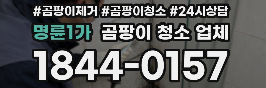 명륜1가 곰팡이 청소 업체