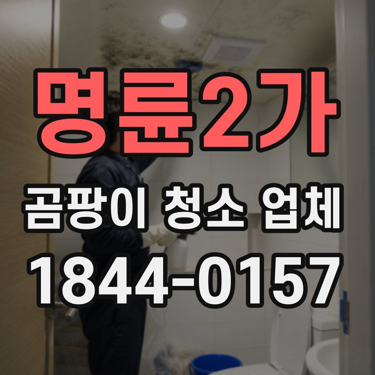 명륜2가 곰팡이 청소 업체 눈에 보이지 않는 곰팡이까지 점검하는 법