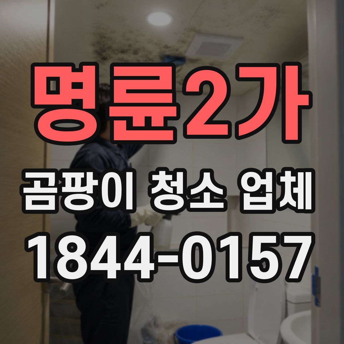명륜2가 곰팡이 청소 업체