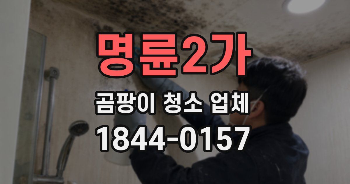 명륜2가 곰팡이 청소 업체