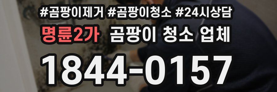 명륜2가 곰팡이 청소 업체