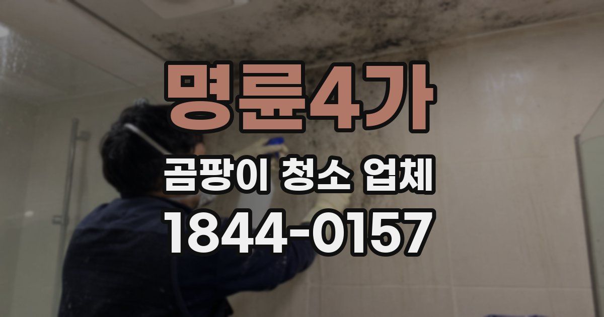 명륜4가 곰팡이 청소 업체