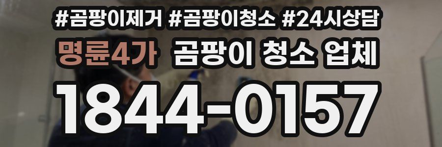 명륜4가 곰팡이 청소 업체