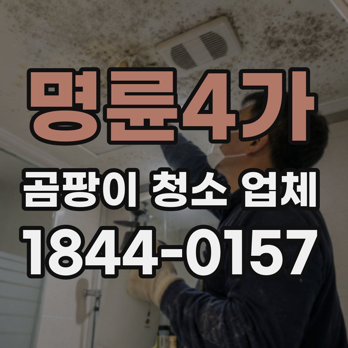 명륜4가 곰팡이 청소 업체