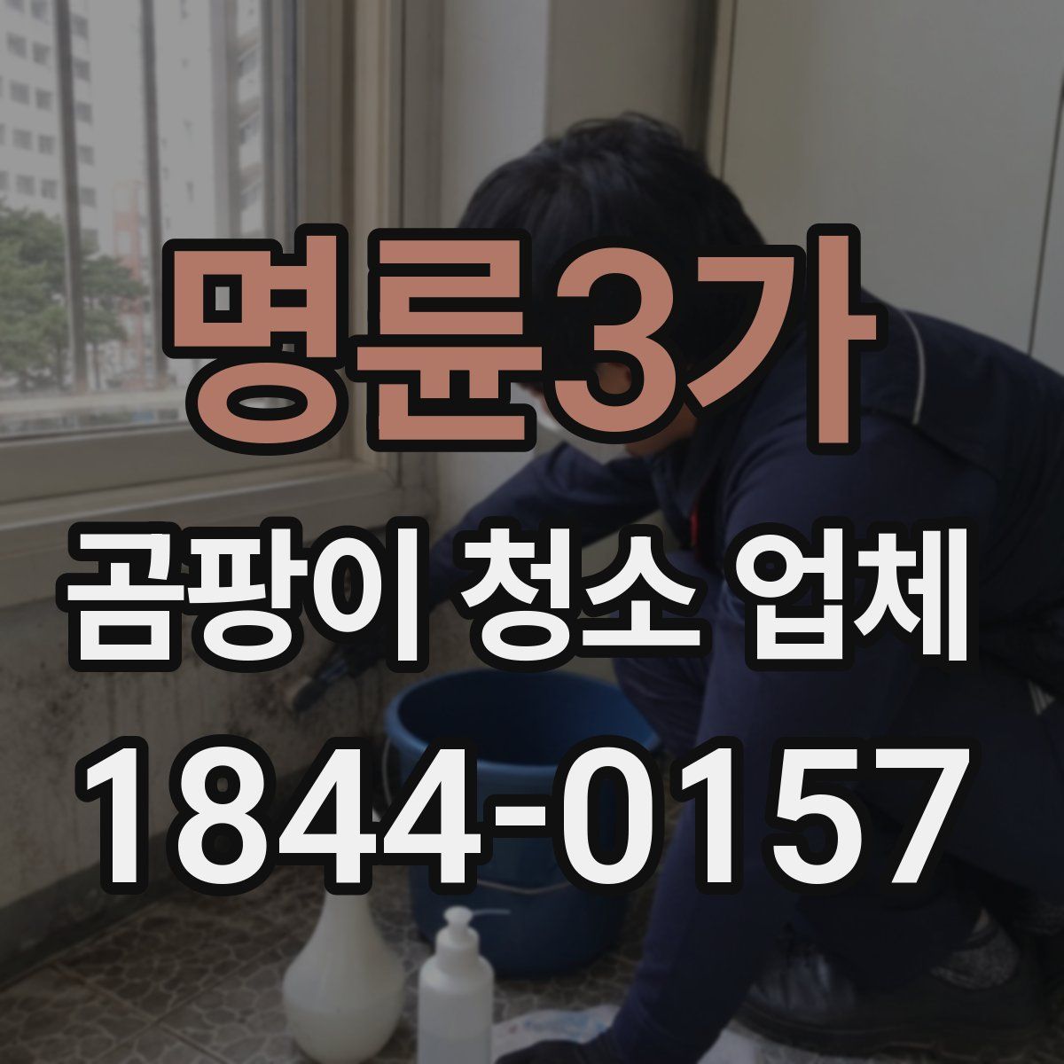 명륜3가 곰팡이 청소 업체