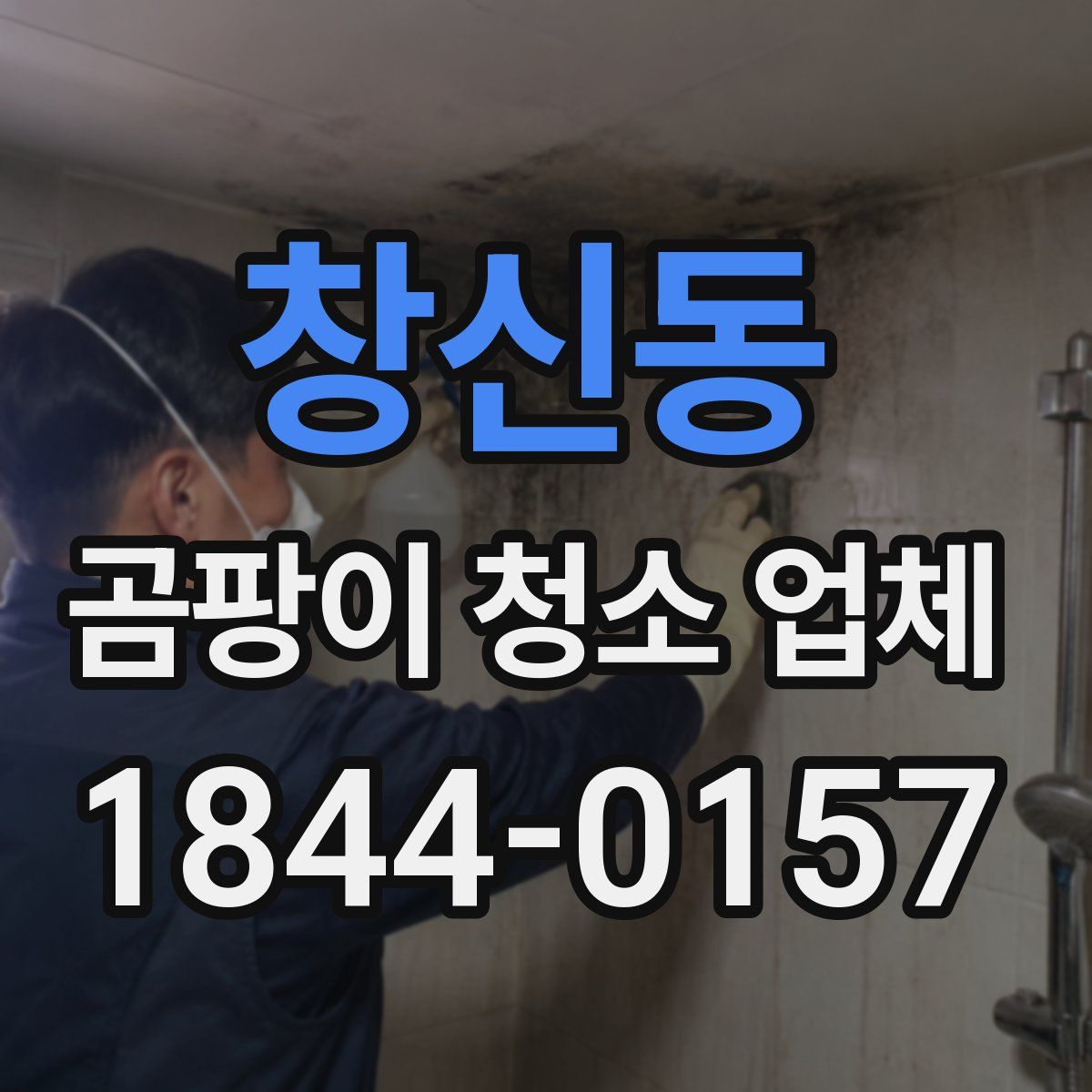 창신동 곰팡이 청소 업체