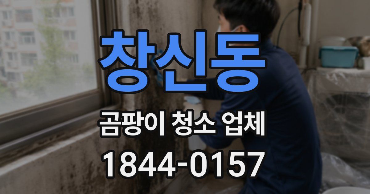 창신동 곰팡이 청소 업체