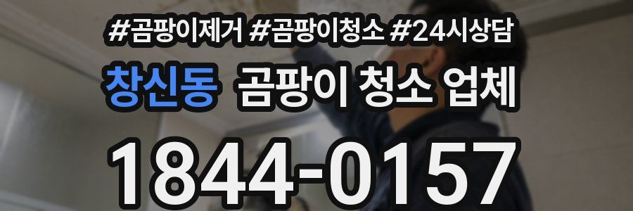 창신동 곰팡이 청소 업체