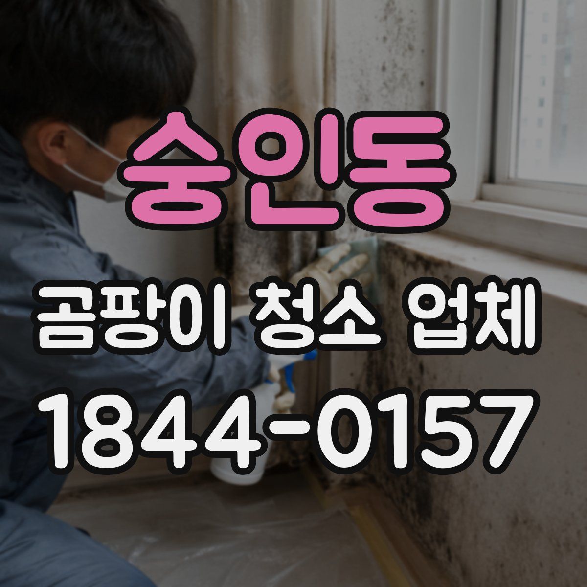숭인동 곰팡이 청소 업체