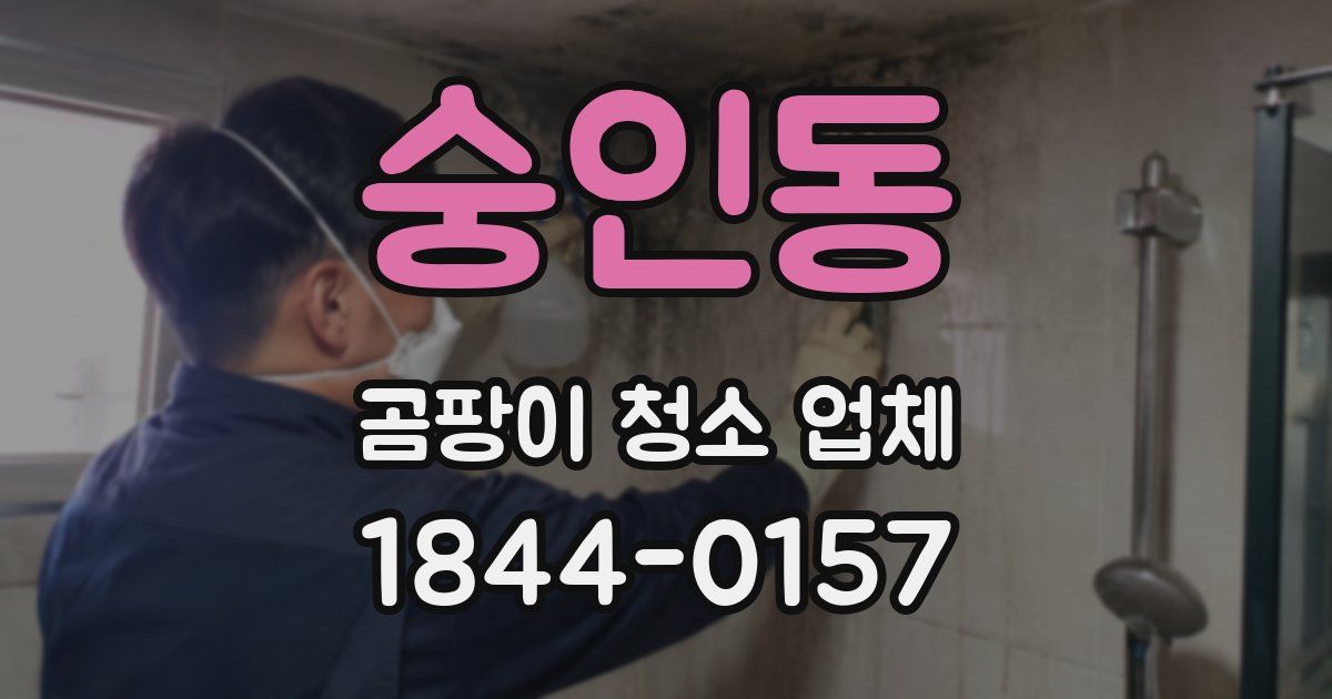 숭인동 곰팡이 청소 업체