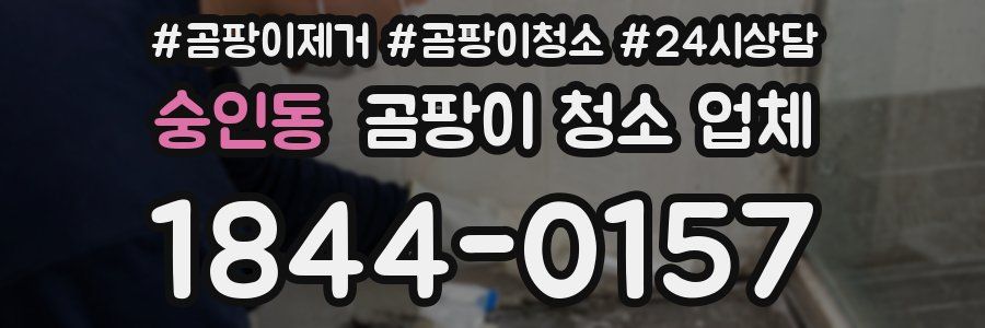 숭인동 곰팡이 청소 업체