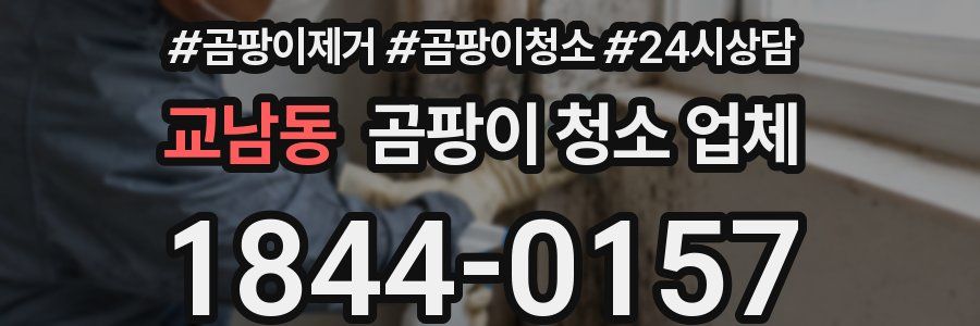 교남동 곰팡이 청소 업체