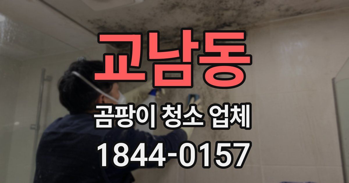 교남동 곰팡이 청소 업체
