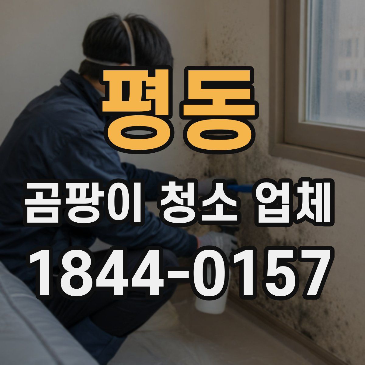 평동 곰팡이 청소 업체