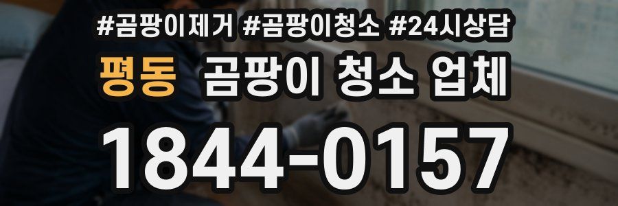 평동 곰팡이 청소 업체