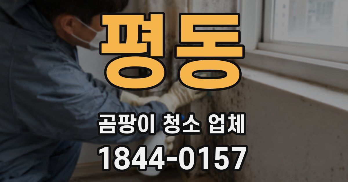 평동 곰팡이 청소 업체