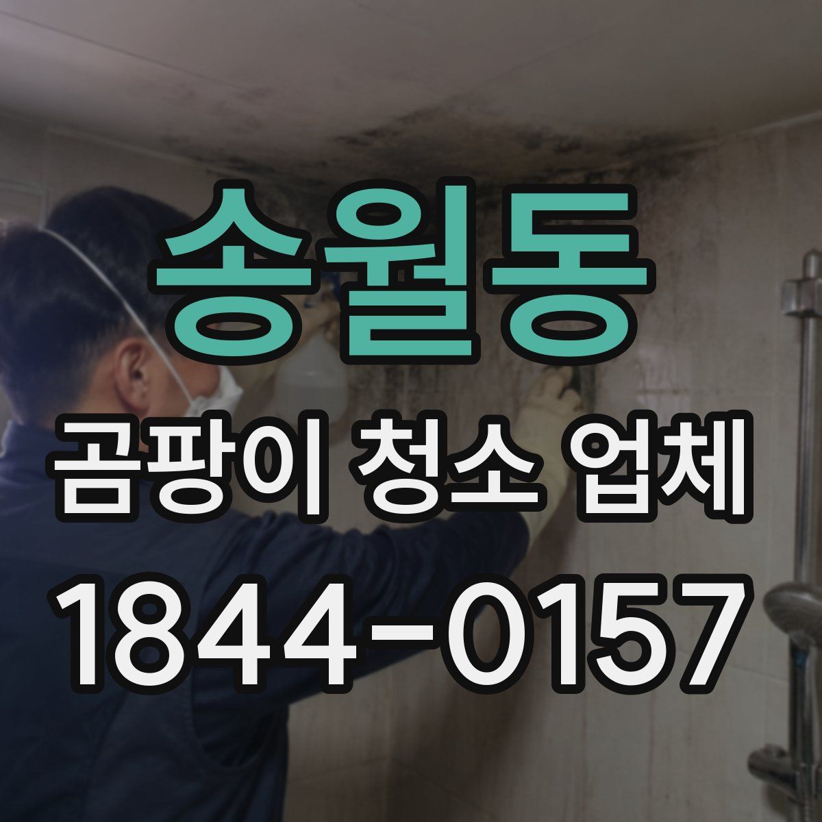 송월동 곰팡이 청소 업체