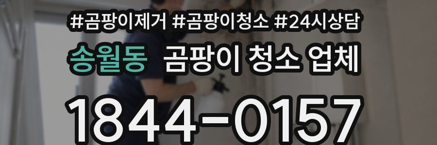 송월동 곰팡이 청소 업체