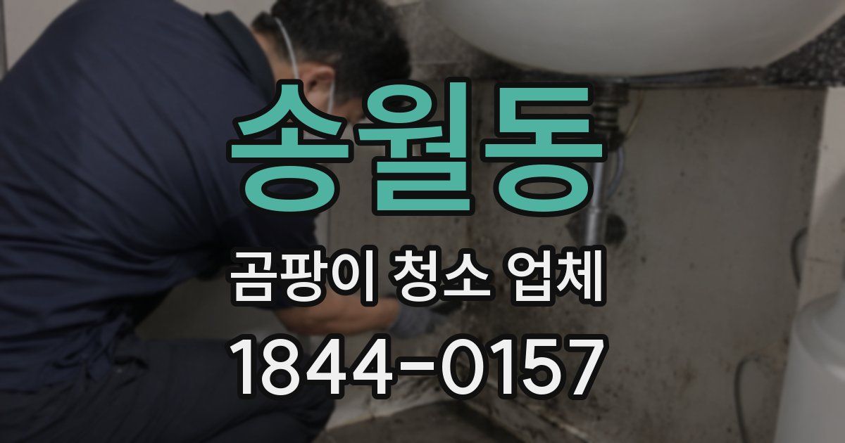 송월동 곰팡이 청소 업체