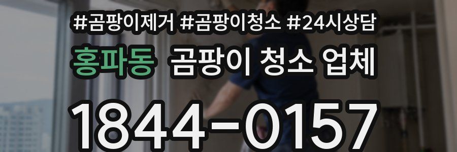 홍파동 곰팡이 청소 업체