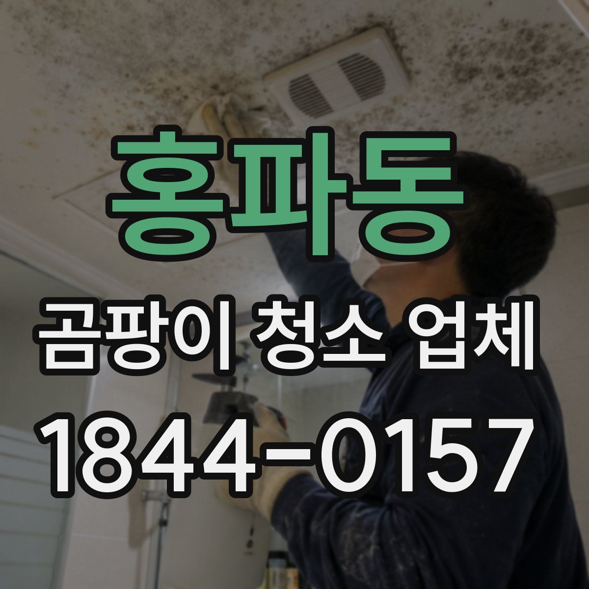 홍파동 곰팡이 청소 업체