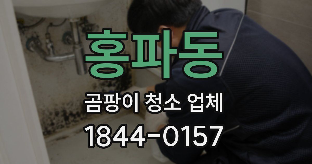홍파동 곰팡이 청소 업체