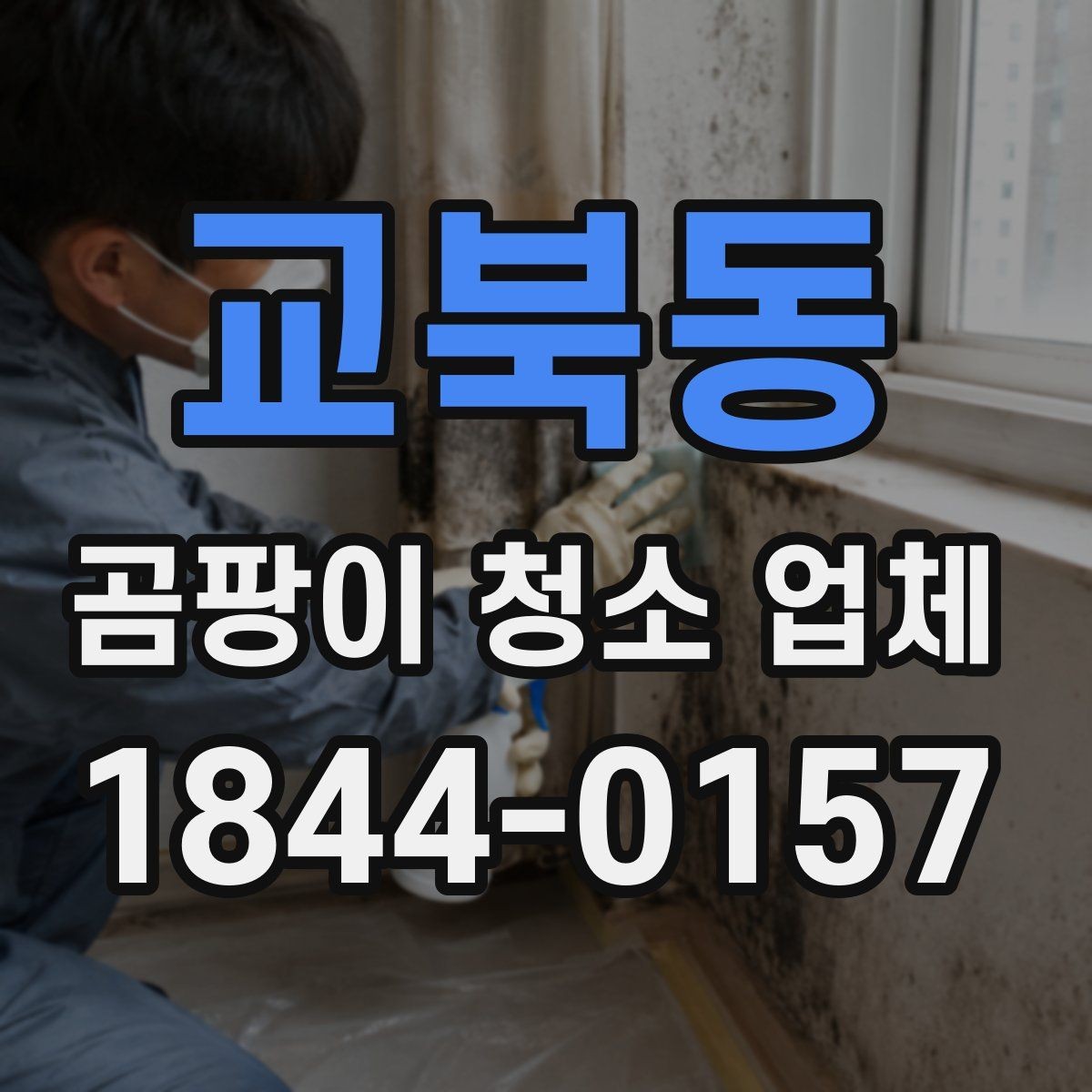 교북동 곰팡이 청소 업체 책임 소재와 작업 범위를 함께 확인하는 법