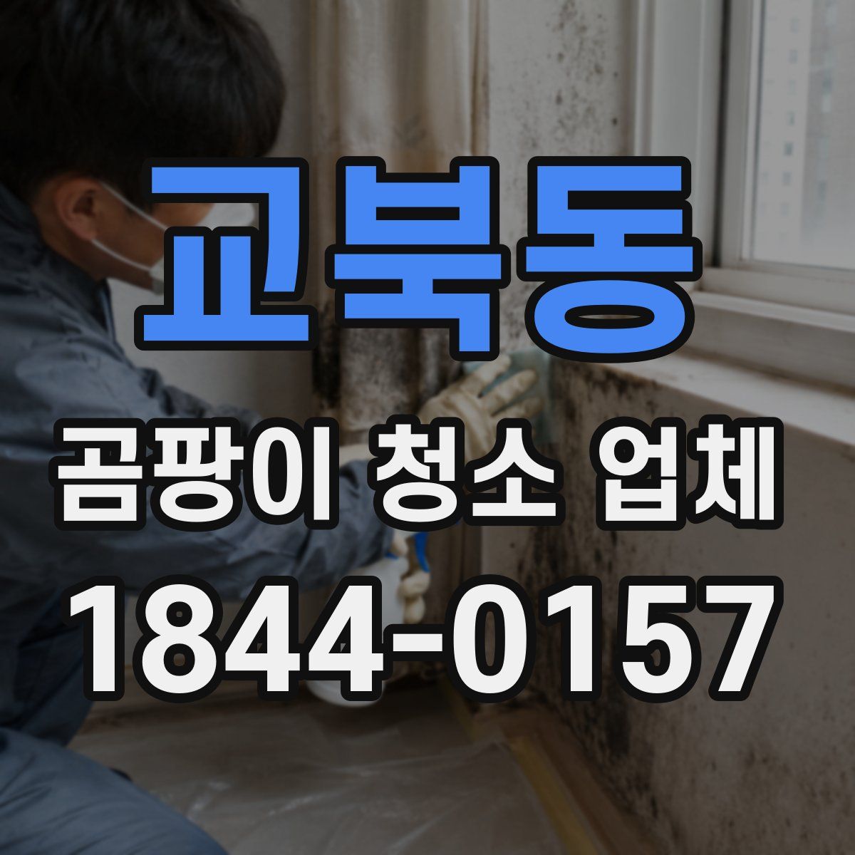 교북동 곰팡이 청소 업체
