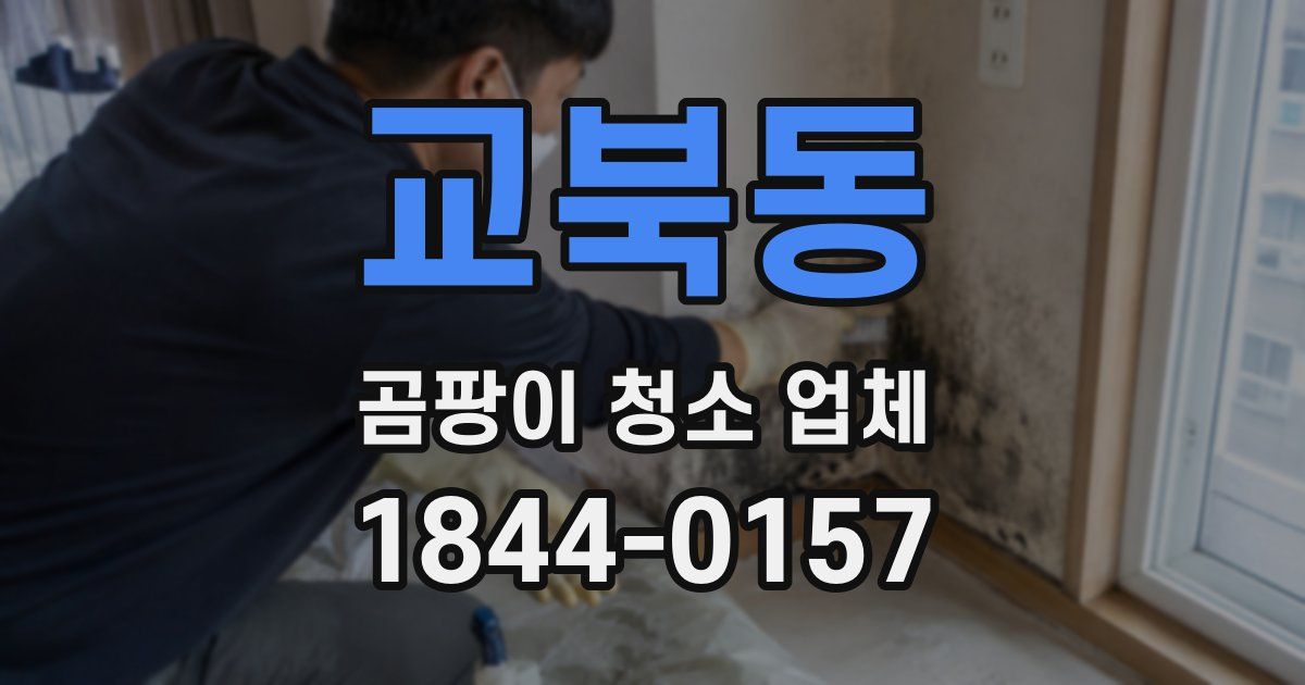 교북동 곰팡이 청소 업체