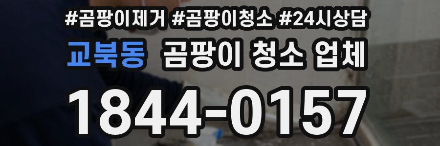 교북동 곰팡이 청소 업체