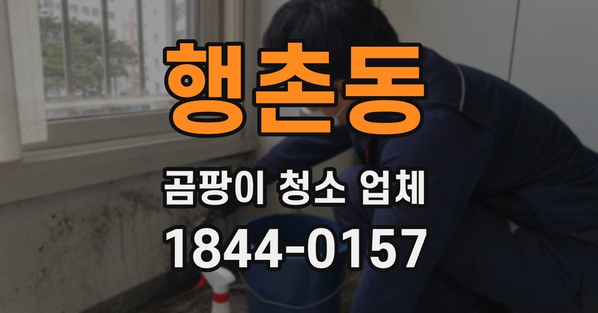 행촌동 곰팡이 청소 업체