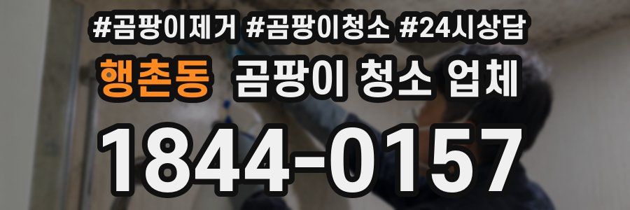 행촌동 곰팡이 청소 업체
