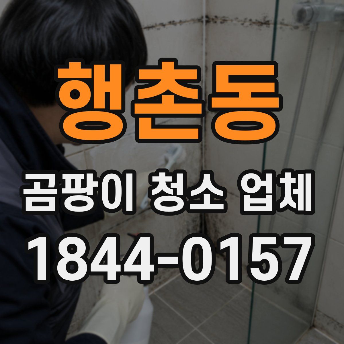 행촌동 곰팡이 청소 업체